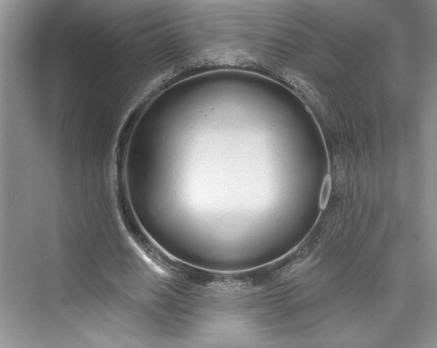 X0000075400630200609251019