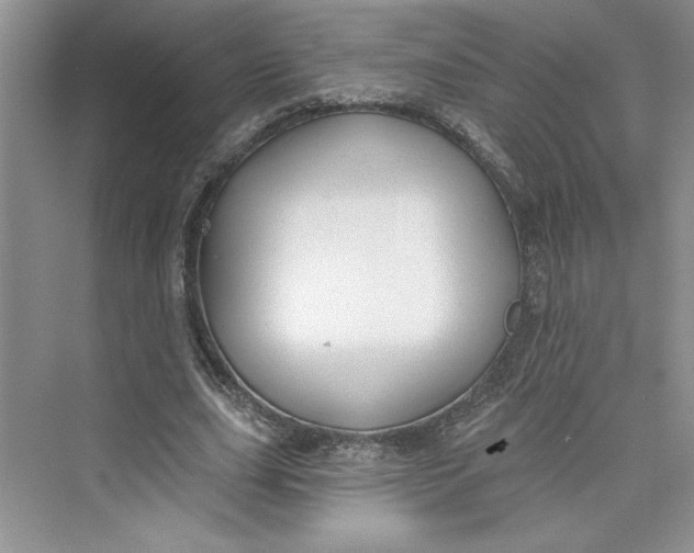 X0000075400631200609251019