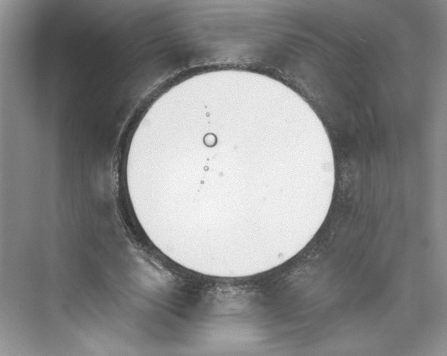 X0000075400632200609251019