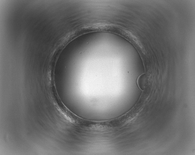 X0000075400633200609251019