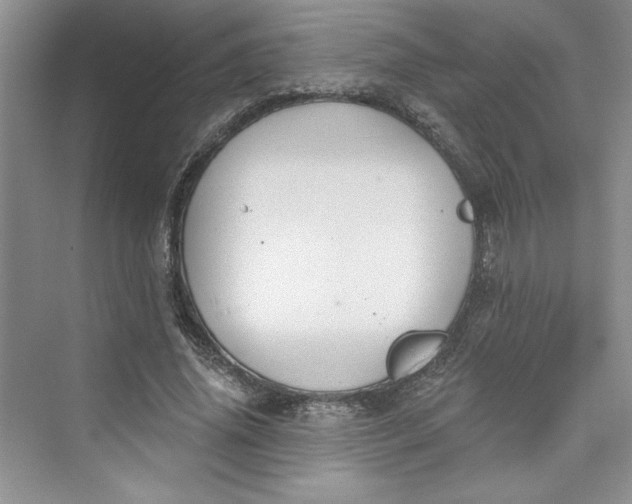 X0000075400636200609251019