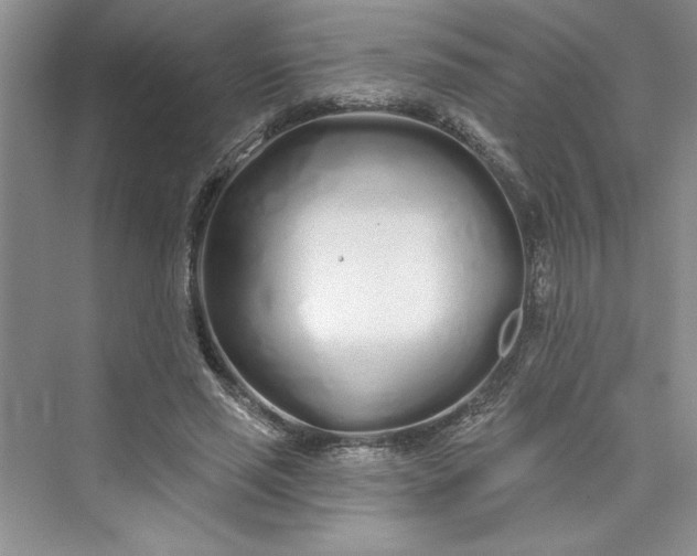 X0000075400637200609251019