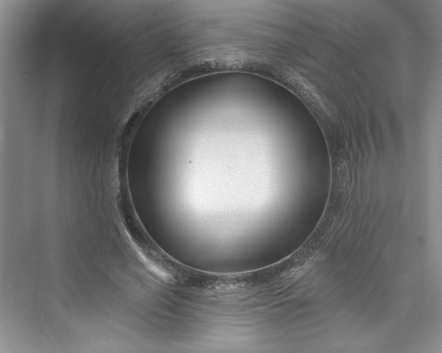 X0000075400638200609251019