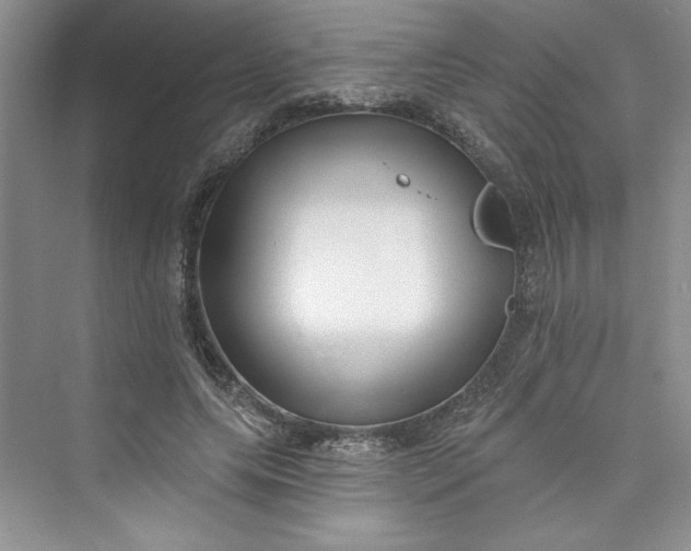 X0000075400639200609251019