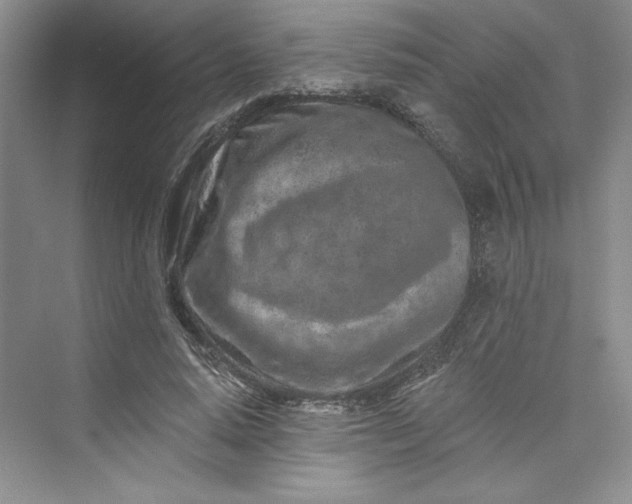 X0000075400640200609251019