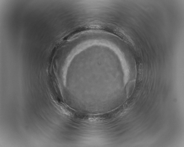 X0000075400641200609251019