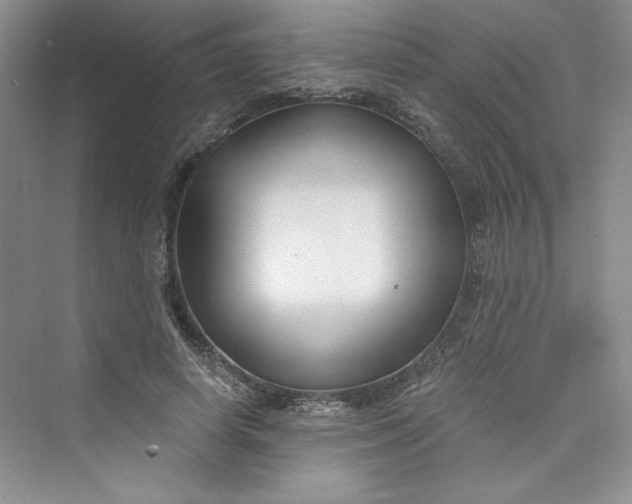 X0000075400642200609251019