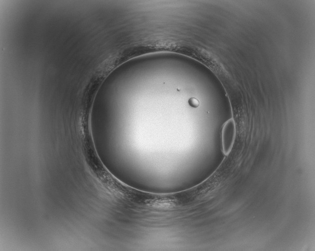 X0000075400643200609251019