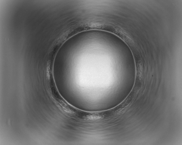 X0000075400644200609251019