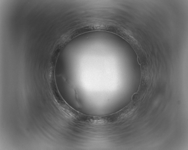 X0000075400645200609251019