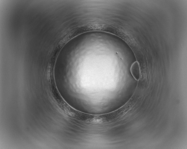 X0000075400647200609251019