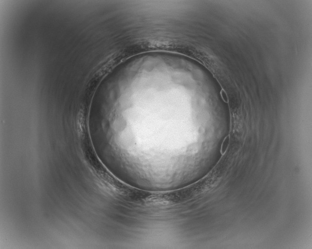 X0000075400648200609251019