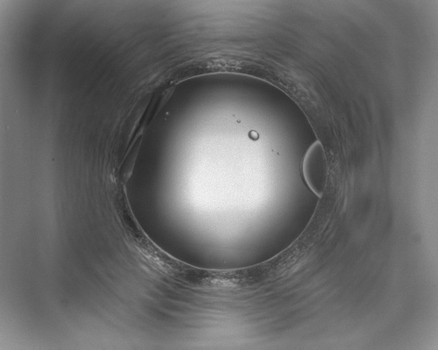 X0000075400649200609251019