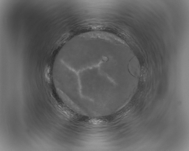 X0000075400650200609251019