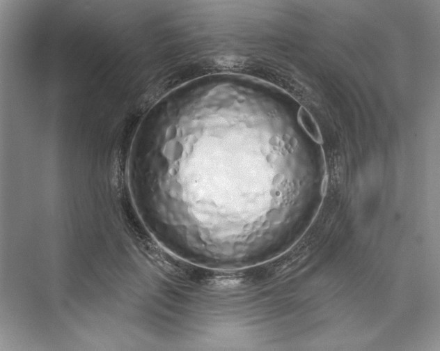 X0000075400651200609251019