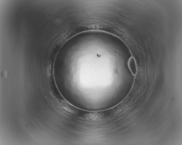 X0000075400652200609251019