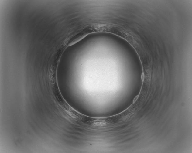 X0000075400653200609251019