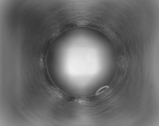 X0000075400655200609251019