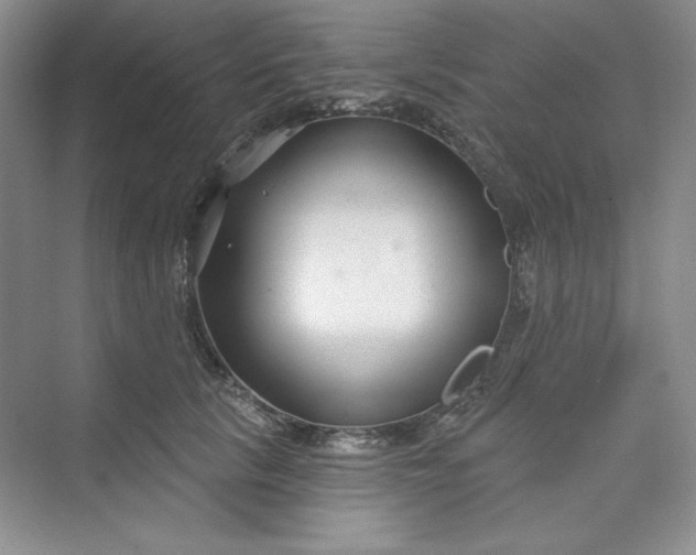 X0000075400657200609251019