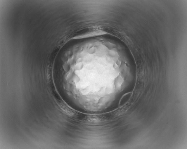 X0000075400658200609251020