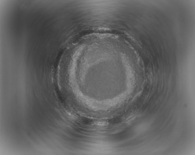 X0000075400659200609251020