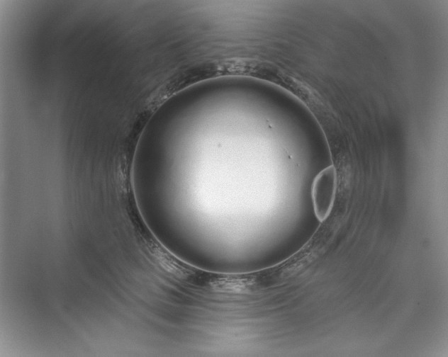 X0000075400661200609251020