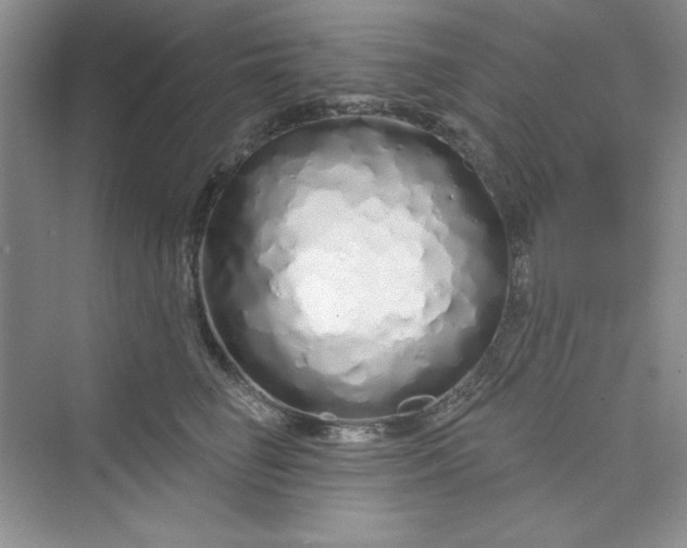 X0000075400662200609251020