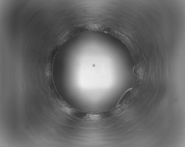 X0000075400665200609251020