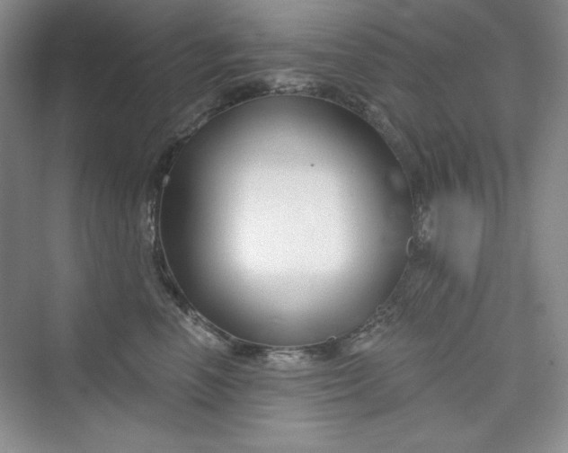 X0000075400666200609251020