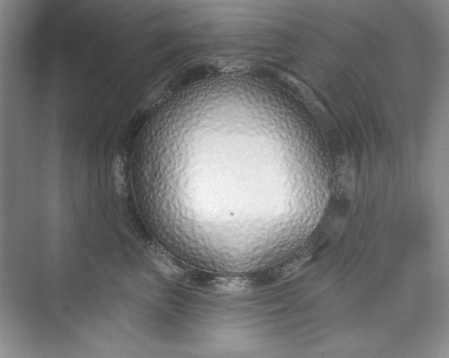 X0000075400667200609251020