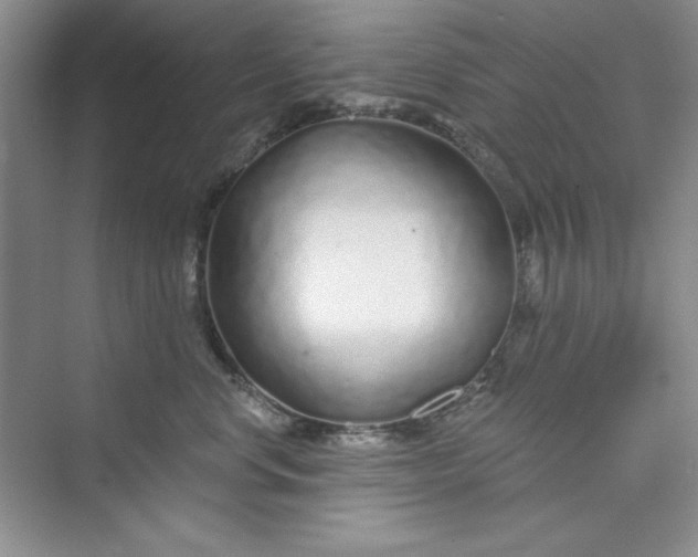 X0000075400668200609251020