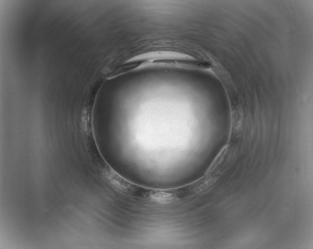 X0000075400669200609251020