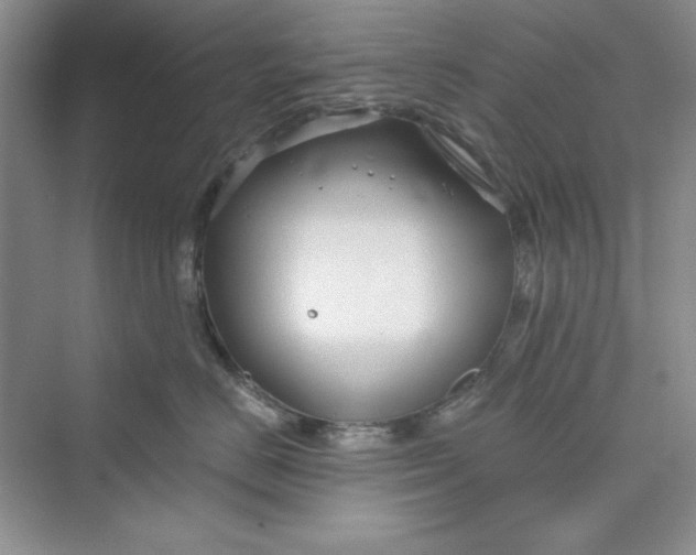 X0000075400670200609251020