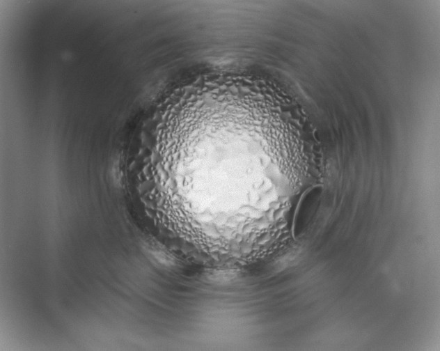 X0000075400671200609251020