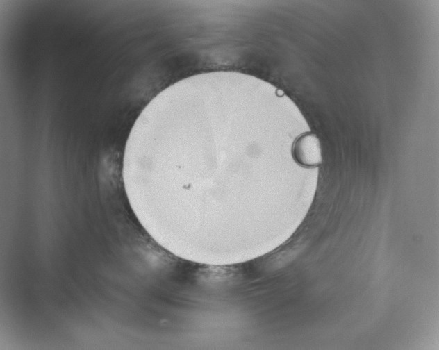 X0000075400672200609251020