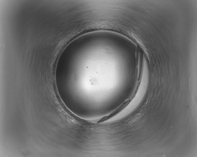 X0000075400673200609251019