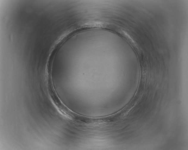 X0000075400674200609251019