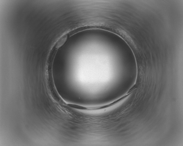 X0000075400676200609251019