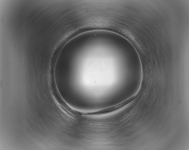 X0000075400677200609251019