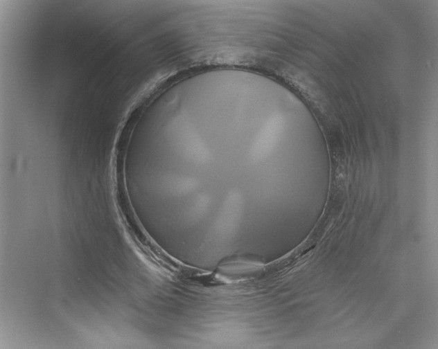 X0000075400678200609251019