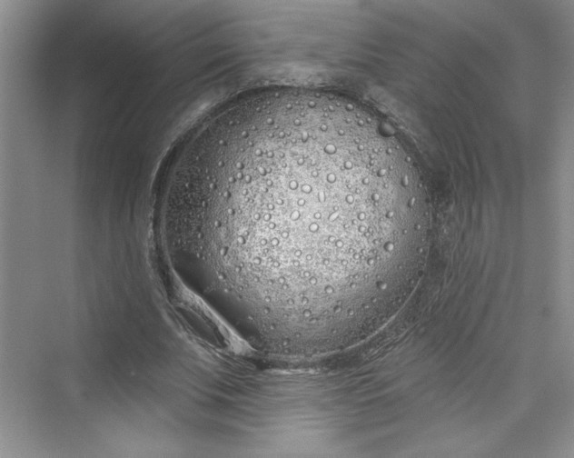 X0000075400679200609251019