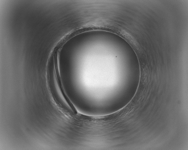 X0000075400680200609251019