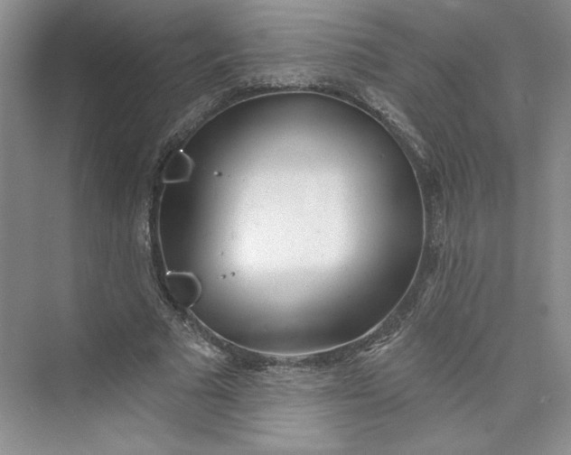 X0000075400681200609251019