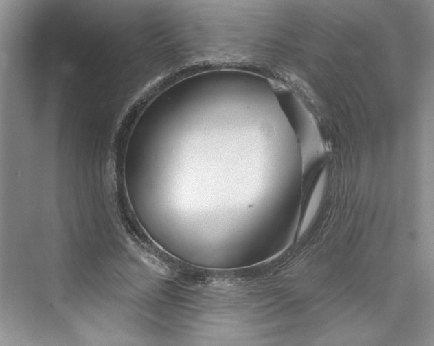 X0000075400684200609251019