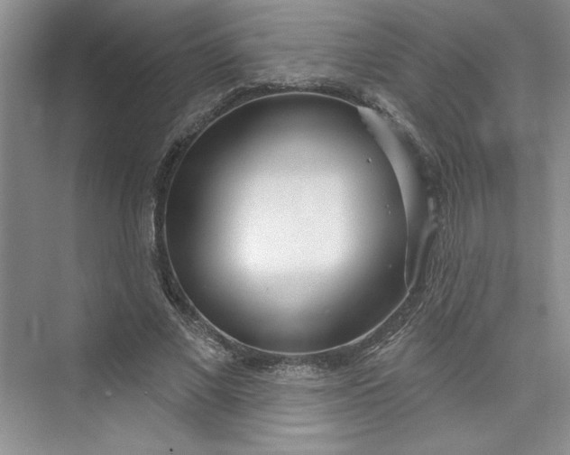 X0000075400685200609251019