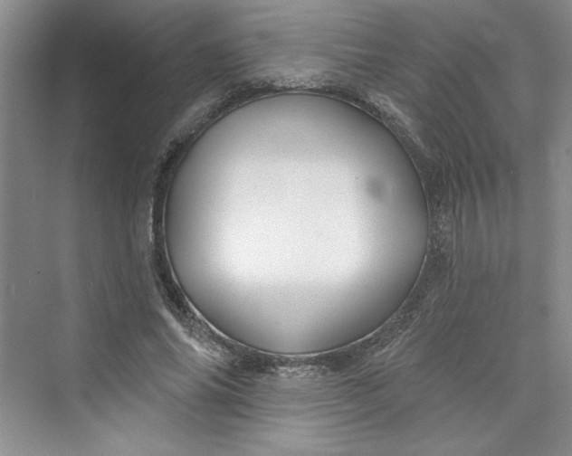 X0000075400686200609251019