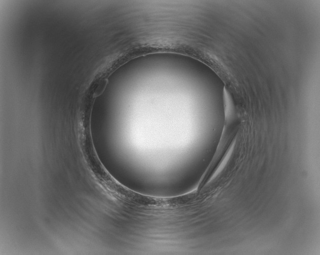 X0000075400688200609251019