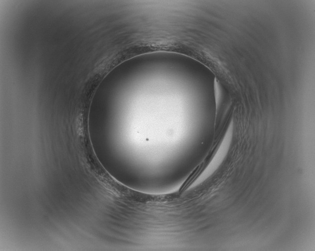 X0000075400689200609251019