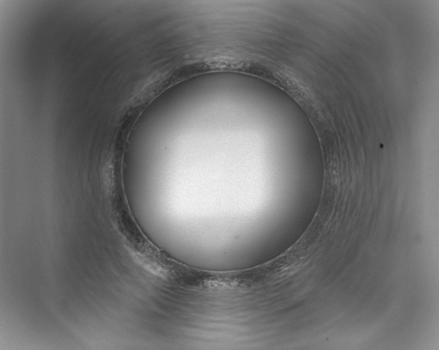 X0000075400690200609251019