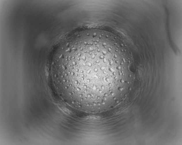 X0000075400691200609251019